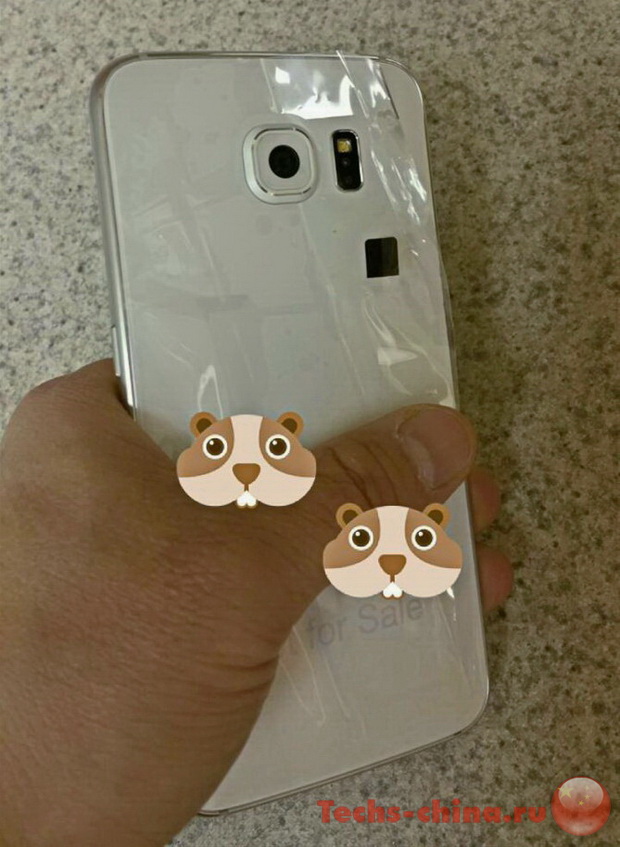 Samsung Galaxy S6 вид сзади фото